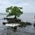 Alisia Weekley Wise's profile image