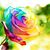 Yasmin Fouad's profile image