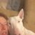 Ceza Tiedemann's profile image