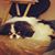 Debi Rupp's profile image