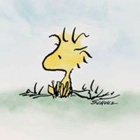 Stacy Mize's profile image