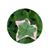 Adria Mitchell's profile image