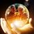 Jane L Findley's profile image