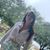 Dori Surdis's profile image