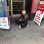 Meghan Lampereur's profile image