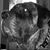 Lori B. Harp's profile image