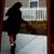 Alba Avelar's profile image