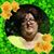 Sandy Gonzalez's profile image