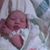 Lynn Carison's profile image
