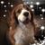 Nicole Walker's profile image