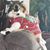 Amanda Zastrow's profile image