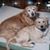 Patricia Griffin Henthorn's profile image