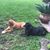 Renee Redfern's profile image