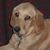 Sandy Dugan's profile image