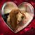 Wendy Sadler's profile image