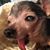 Heather Lawson's profile image