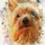 Annette Slawson's profile image