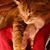 Susanne Freeborn's profile image