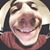 Adam Rosenthal's profile image