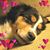 Debbie Poe Barber's profile image