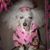 Suzzie Gress's profile image