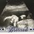 Vickilynn Stubblefield's profile image