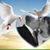 David Shinall's profile image