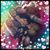 Tabitha Lynn Peters's profile image