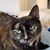 Debbie Salzer's profile image