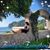 Tracy Begley Turner's profile image
