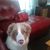 Traci Stewart's profile image