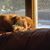 Sheri Garreau Bull's profile image