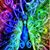 Sandy Lofdahl's profile image