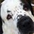 Gordy Blezien's profile image