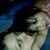 Claudia Ramirez Rivera's profile image