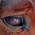 Eileen Lowry's profile image