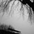 Maria Ratigan's profile image