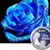 Rhonda Llanos's profile image