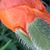 Nancy Bradley Slebodnik's profile image