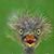 Joe Kay's profile image