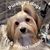 Renee Jarboe's profile image