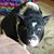 Gina Whalen's profile image