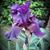 Ericka Zick's profile image
