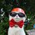 Vicki Cai's profile image