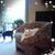 Roberta Levin's profile image