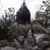 Stephanie S Millard's profile image