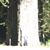 Paul Walenga's profile image