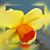Leanna Herndon-Scott's profile image
