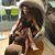 Patricia Boada's profile image