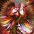 Bev Stevens's profile image